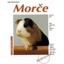 Morče - Jak na to