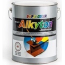 Alkyton Hladký 5L RAL 9010 lesklá