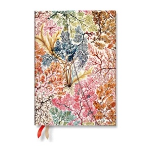 Paperblanks 2027 Anemone MIDI Vertical Hardcover 12-Month Weekly Planner, 160pg, 100gsm by Paperblanks (William Kilburn)