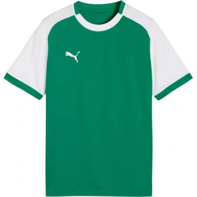 Puma teamLIGA26 Matchday Kids zelená