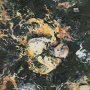 Marsh - Endless LP