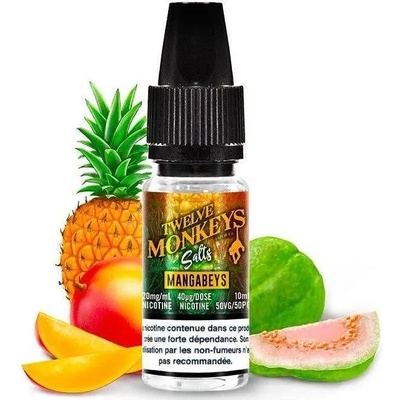 Twelve Monkeys Mangabeys - Twelve Monkeys Salts 20mg 10ml