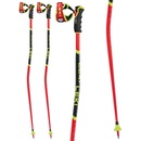 Leki WCR GS 3D 2021/22