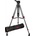 Cartoni Focus 10