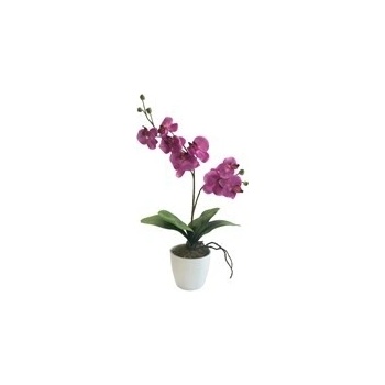 Orchidej 65cm x2 pink (bez květináče) - Gasper