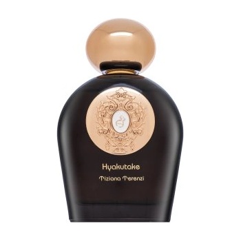 Tiziana Terenzi Hyakutake Extrait de Parfum 100 ml