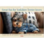 Calvendo Great fun for Yorkshire Terrier lovers (Wall Calendar 2026 DIN A4 landscape), CALVENDO 12 Month Wall Calendar | Calvendo, Peter Ruebsamen