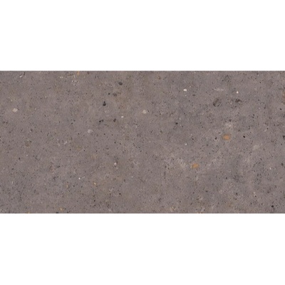 Pastorelli Biophilic P009416 60 x 120 cm dark grey mat 1,44 m²