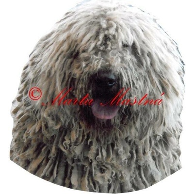 Samolepka komondor archiv hlava