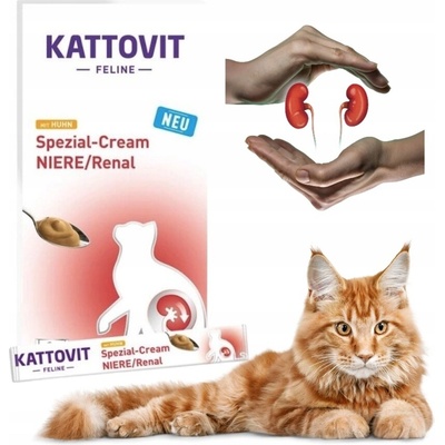 Kattovit Renal Cream 6 x 15 g
