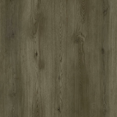 Republic Alligator A006 Goofy 2,21 m²