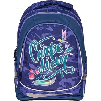 S-Cool Ученическа анатомична раница scool light carpe diem, 19 л