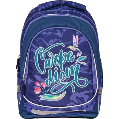 S-Cool Ученическа анатомична раница scool light carpe diem, 19 л