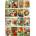 Enjoy - Puzzle Vintage Flower Seed Packets - 1 000 piese