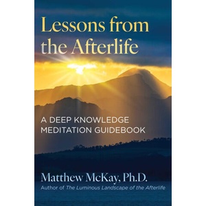 Lessons from the Afterlife | Matthew McKay (2024)