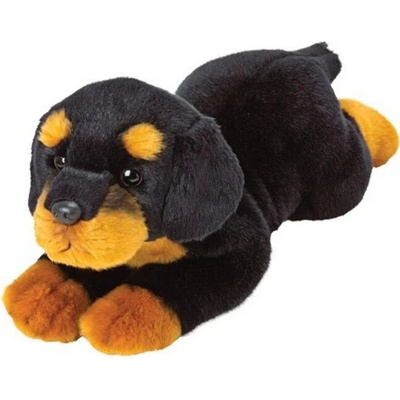 pes rottweiler