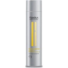 Kadus Visible Repair Shampoo 250 ml