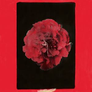 Activity - A Thousand Years In Another Way (LP) (0843563182796)