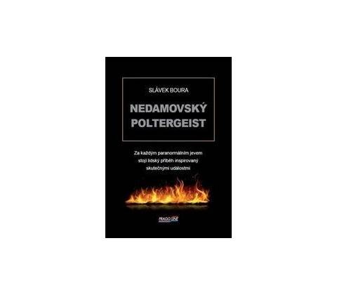 Nedamovský poltergeist