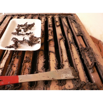 Tinktur šampon propolis Kopřiva a Bříza 230 ml