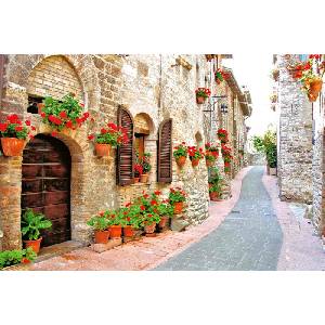 DIMEX ART Флизелинов фототапет цветна алея 375 x 250 см