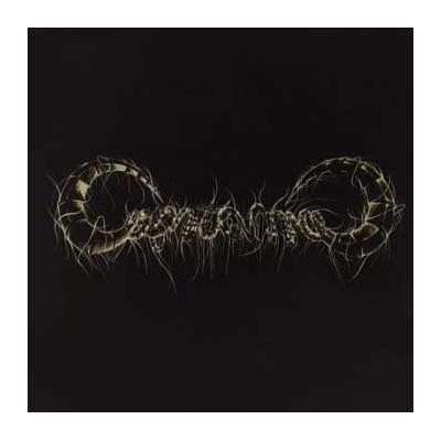 Capricorns - Capricorns