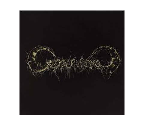 Capricorns - Capricorns
