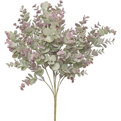 ZÁPICH EUCALYPTUS ZELENOFIALOVÝ 42CM
