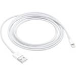 Apple Y00000363813