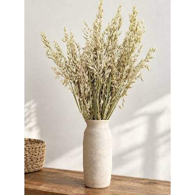 Sušený oves přírodní natural svazek 45g