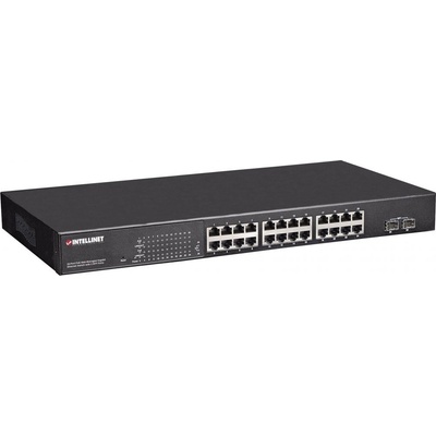 Intellinet 560559