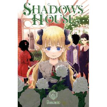 Image 1 of SHADOWS HOUSE V06 | V06