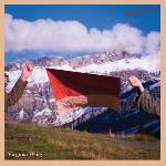 Virginia Wing - Ecstatic Arrow (Limited Edition) (Coloured) (LP) (0809236149039)