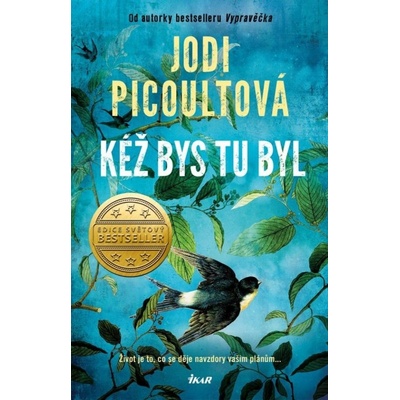Kéž bys tu byl - Jodi Picoult