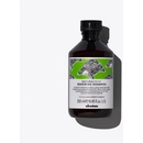 Davines NATURALTECH Renewing šampon proti stárnutí vlasů 250 ml