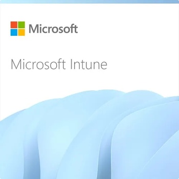 Microsoft Intune Storage Add-on Subscription (1 Year) (CFQ7TTC0LCH4-0006_P1YP1Y)