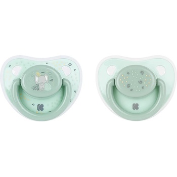 KikkaBoo Силиконови залъгалки KikkaBoo - Savanna, Mint, 6-18 месеца, 2 броя (31303010045)