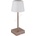 GLOBO 28061CH - LED настолна лампа XAYDEN, 2W, 5V, 800 mAh, бежова (GL8631)