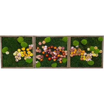 Mechové obrazy TRIO flowers Velikost: 30x30cm