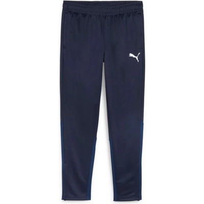 Puma Team Goal Training Pant 658639-06