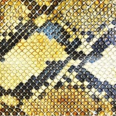 AMAZING SNAKEHEADS: AMPHETAMINE BALLADS CD