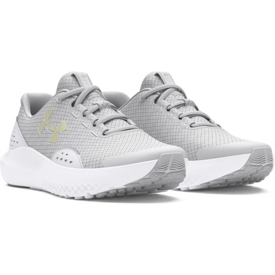 Under Armour UA GGS Surge 4 3027108-100