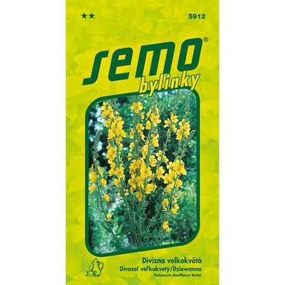 Divizna velkokvětá Zlata - Semo