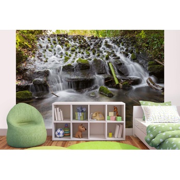 DIMEX ART s. r. o Самозалепваща се флизелинова фототапета парк марлей ирландия 375 x 250 см