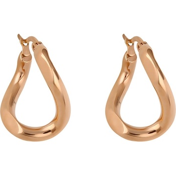 Image 1 of Daniel Klein Дамски обеци Daniel Klein DKJ. 5.4002-3 (DKJ.5.4002-3)