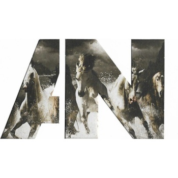 Awolnation - Run (CD) (0844942041611)