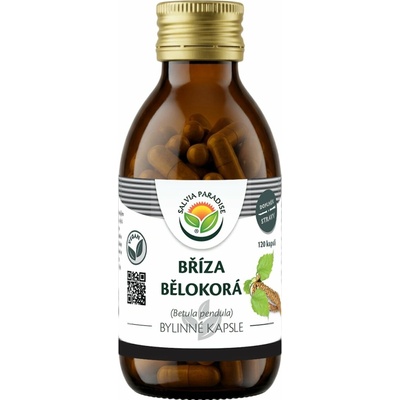 Salvia Paradise Bříza bělokorá 120 kapsúl