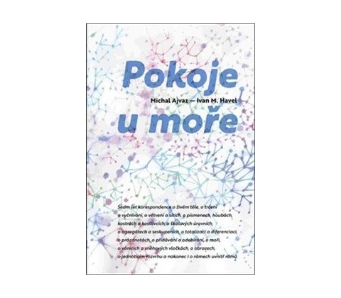 Pokoje u moře