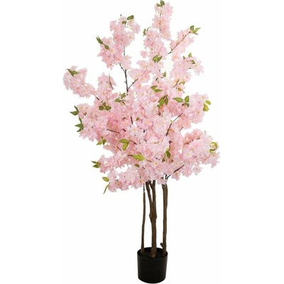 Třešeň s 5 kmeny, růžová, 160 cm