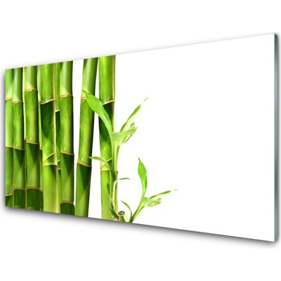 Obraz na skle Bambus Rostlina 100x50 cm